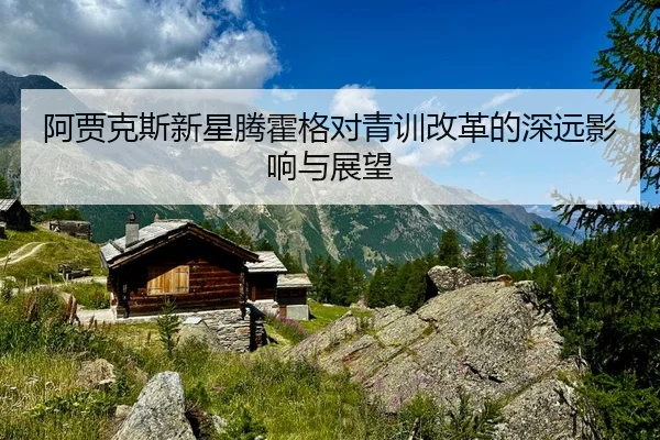 阿贾克斯新星腾霍格对青训改革的深远影响与展望